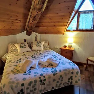 El Niuet -acollidor àtic-dúplex Cèntric Amb Vistes Apartamento